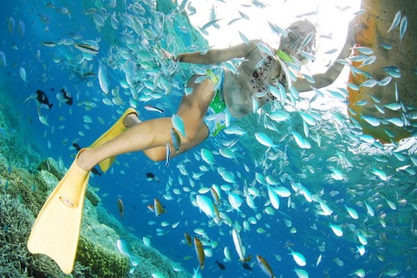 淺談游艇出海游玩的水肺潛水和浮潛