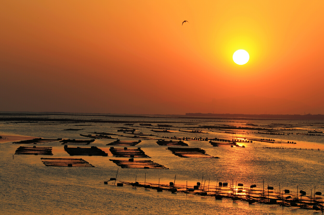 來廈門,暢游“小嶝、大擔”! 來廈門,暢游“小嶝、大擔”!