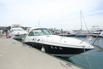 Searay305運動艇 Searay305運動艇
