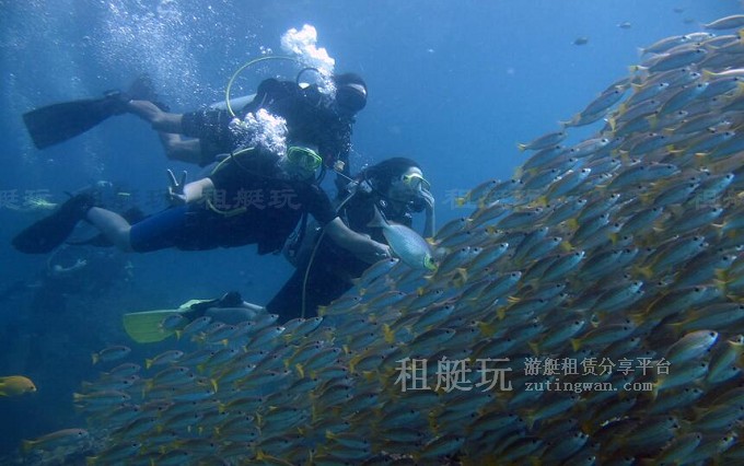 租游艇出海玩什么？十類炫酷水上玩具