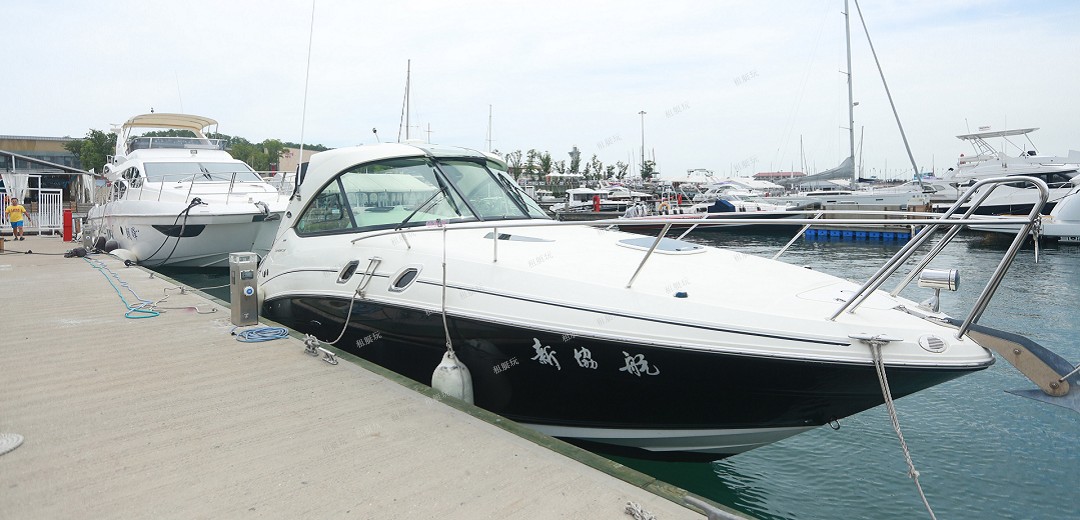 Searay305運(yùn)動(dòng)艇 Searay305運(yùn)動(dòng)艇